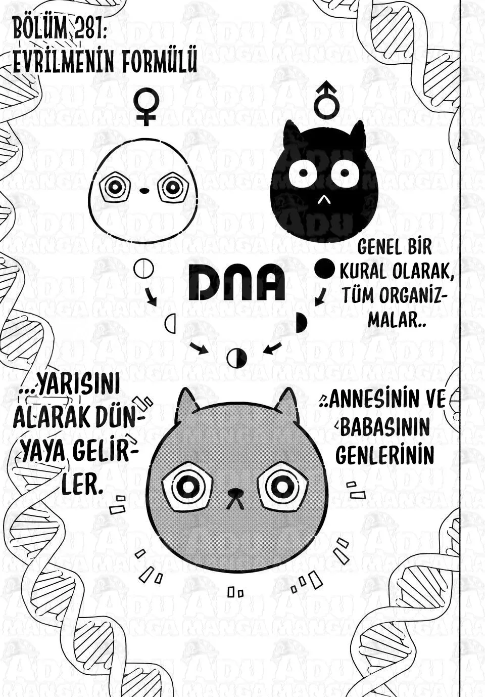 Sayfa 2 / 21